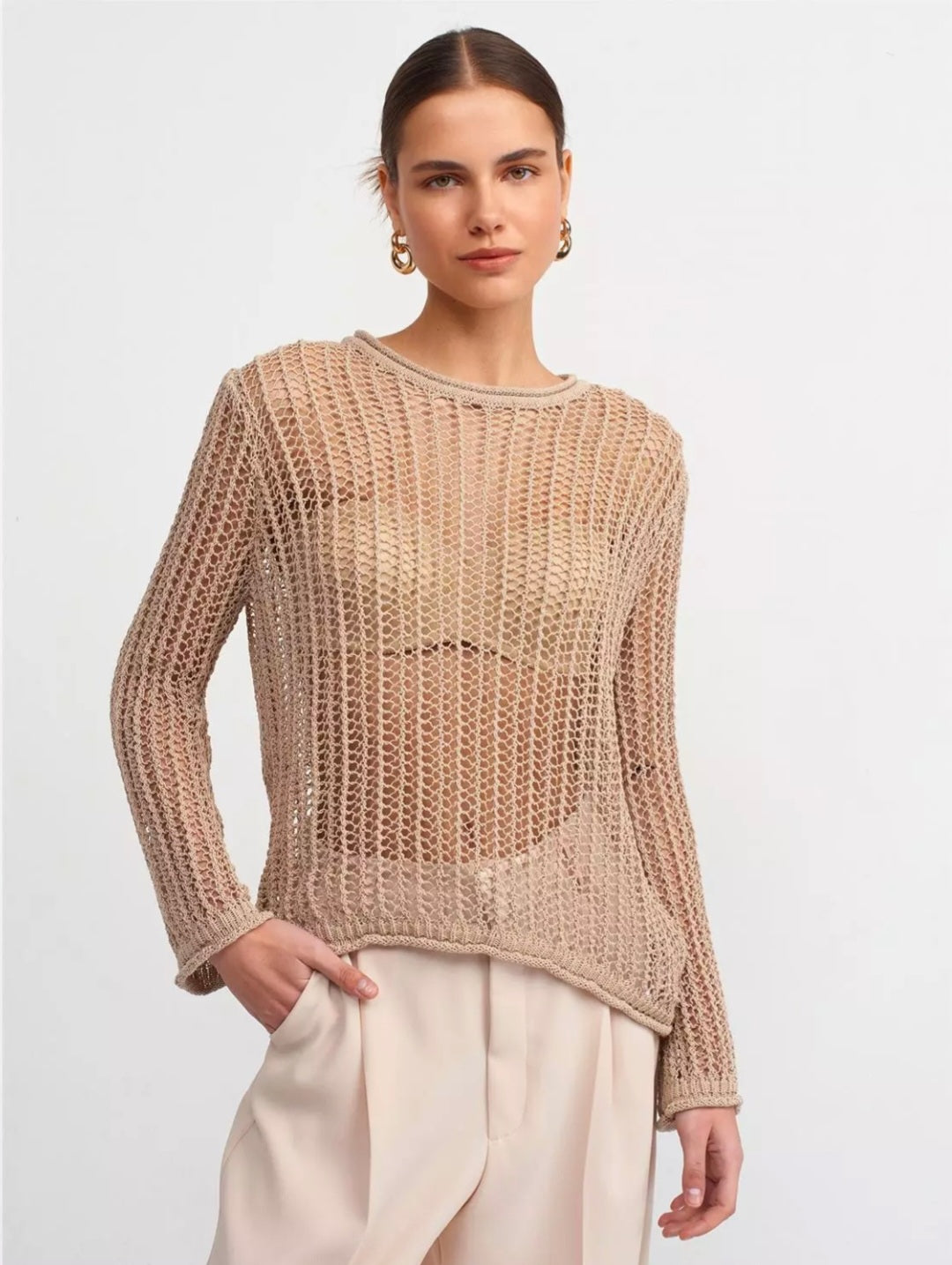 10537 Crew Neck Openwork Transparent Sweater