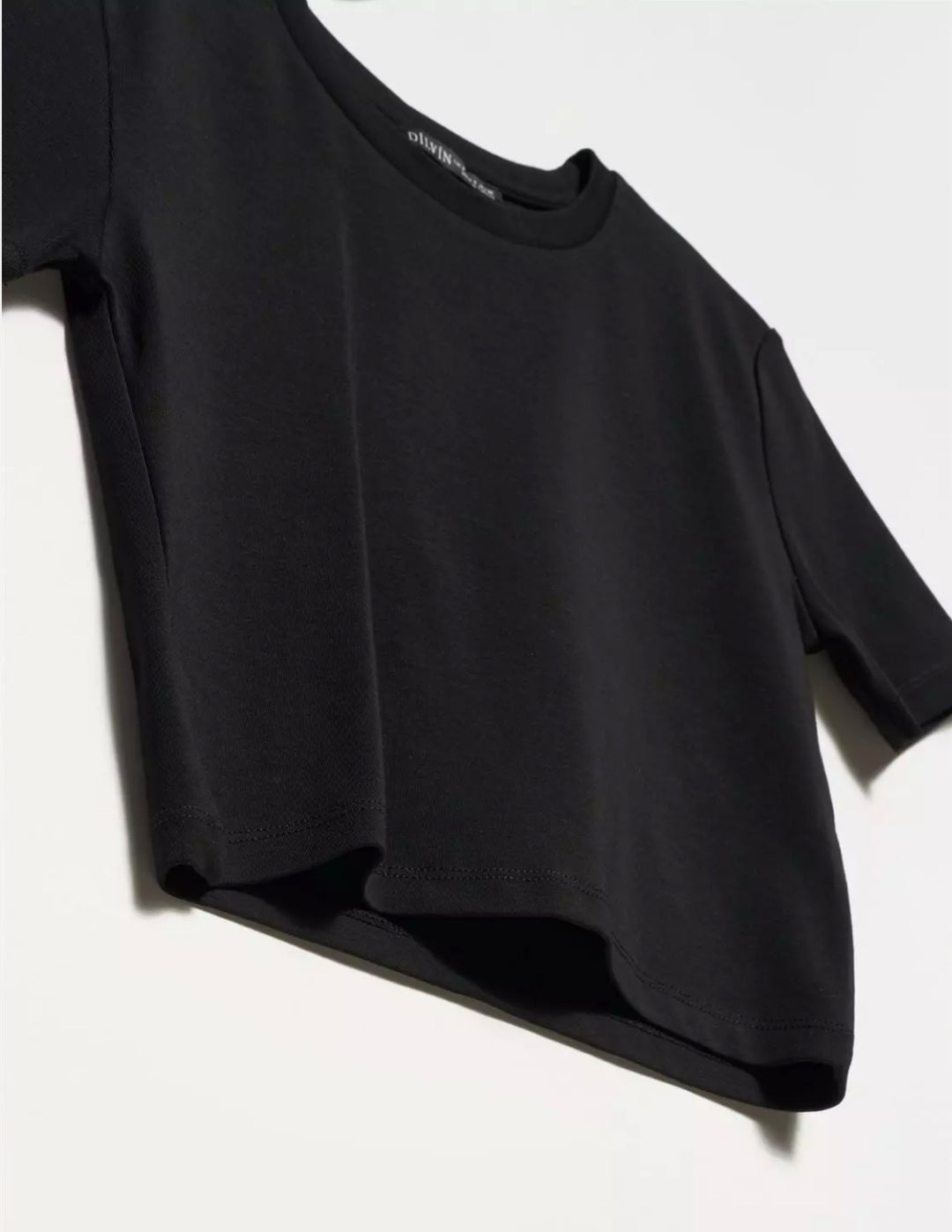30124 Crop T_Shirt