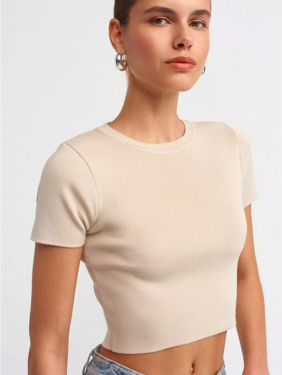 10357 Crew Neck Short Sleeve Crop Sweater